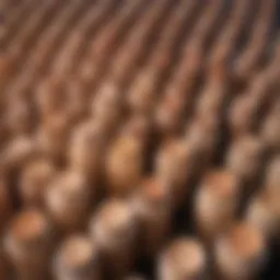 Close-up of various concealer tubes arranged artistically