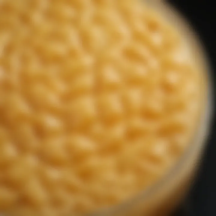 Close-up of beeswax hair gel texture in soft natural light