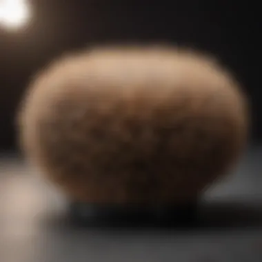Natural Bristle Round Brush for Volume Close-up of a round brush with natural bristles, emphasizing its design for volumizing hair.