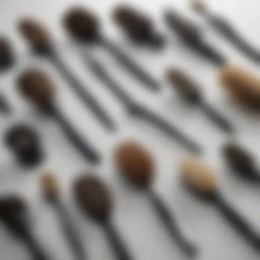 A selection of brushes suitable for drying hair, showcasing various materials and designs.
