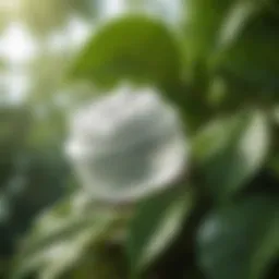 Bioderma moisturizer tube against a backdrop of green leaves