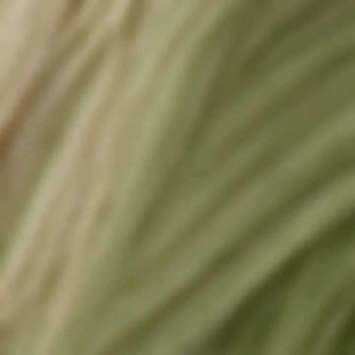 A close-up view highlighting the texture of Biolage Full Density shampoo