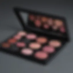 Sophisticated cosmetic palette with various shades of black up blush