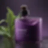 Botanical Extracts for Purple Hair Care