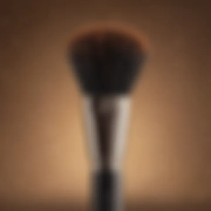 Eco-friendly and sustainable bronzer brush option