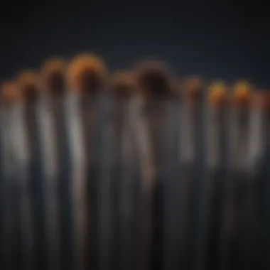 Color Correcting Makeup Brushes