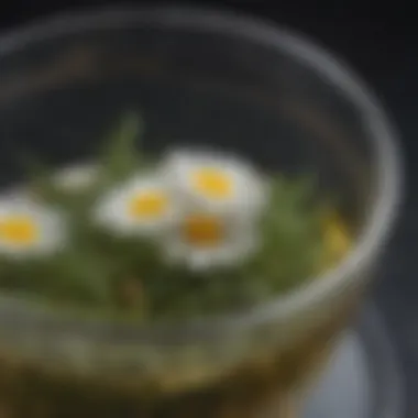 Close-Up of Chamomile Tea Leaves in a Tea Infuser