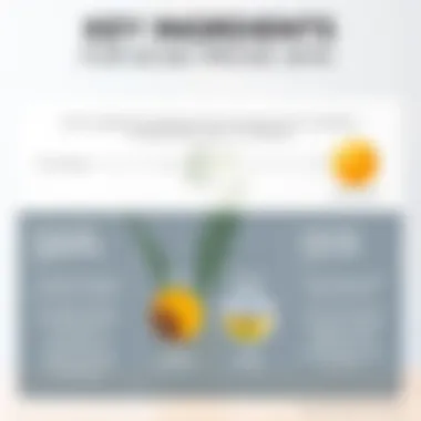 Key Ingredients for Acne-Prone Skin An infographic illustrating the key ingredients beneficial for acne-prone skin in sunblock.