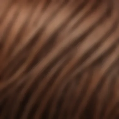 A close-up of healthy hair strands illustrating the importance of aftercare post hair color removal.