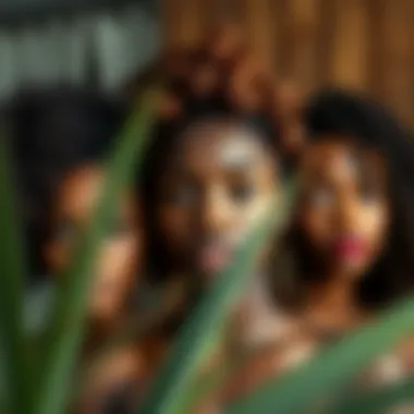 Diverse protective hairstyles showcasing versatility and care