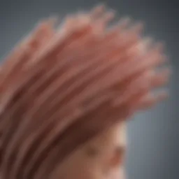 Close-up of small flexi rods showcasing their flexibility and design.