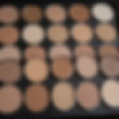 Concealer Palette in Neutral Tones