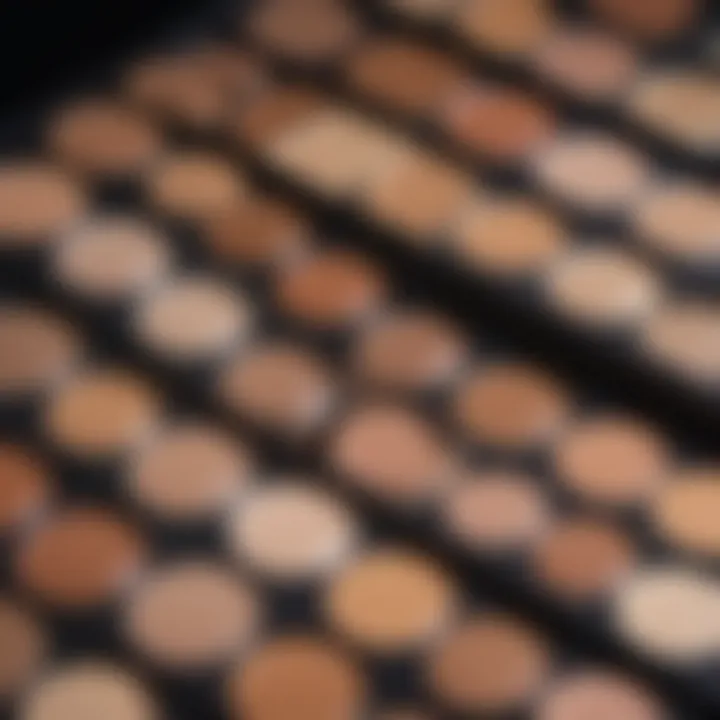 Close-up of a makeup palette featuring various concealer shades.