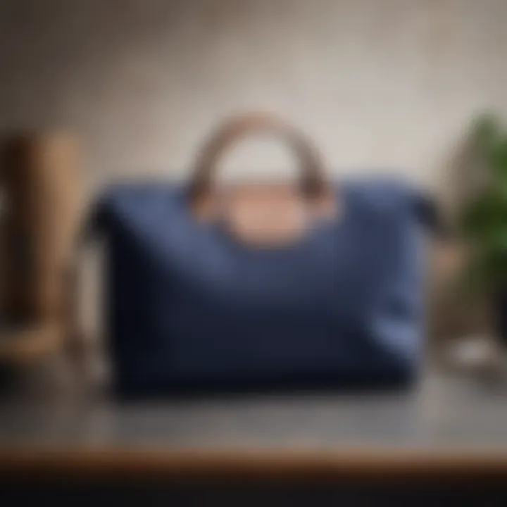 Elegant Longchamp Le Pliage Makeup Bag in Navy Blue