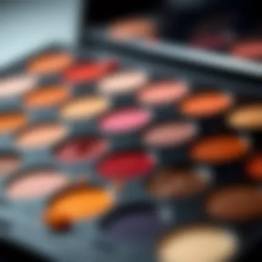 A palette of vibrant eyeshadows representing versatility in makeup.