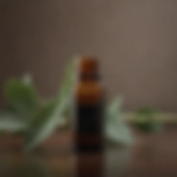 Eucalyptus Essential Oil in a Dark Glass Bottle