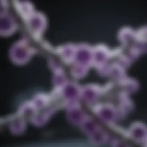 Glycine molecule structure