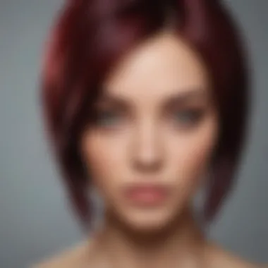 Palette of Burgundy Hair Dye Shades A palette of burgundy hair dye shades