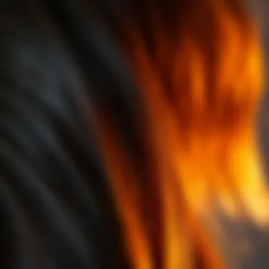 Close-up of essential nutrients for hair health