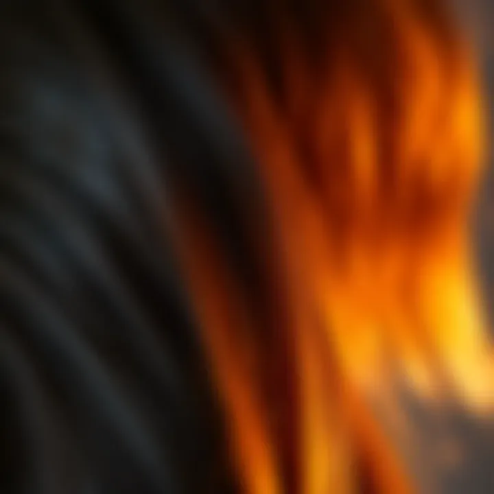 Close-up of essential nutrients for hair health