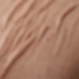 Close-up of a luxurious primer texture