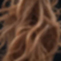 Illustration showcasing molecular bonds in hair structure