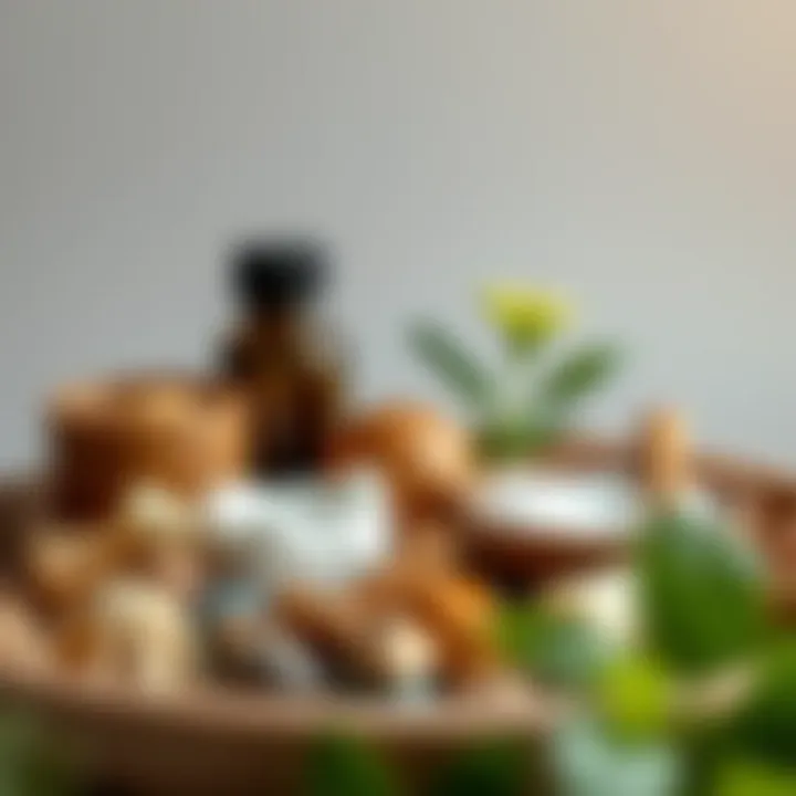 A visual representation of common natural ingredients found in co-washing products.