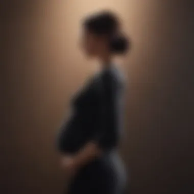 Elegant Maternity Silhouette