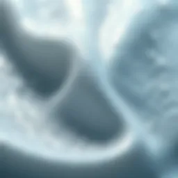 Close-up view of silver pigment shampoo texture