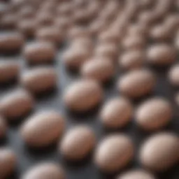 Illustration of various hair loss pills on a surface