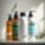 A collection of premium shampoo bottles designed for hair loss treatment