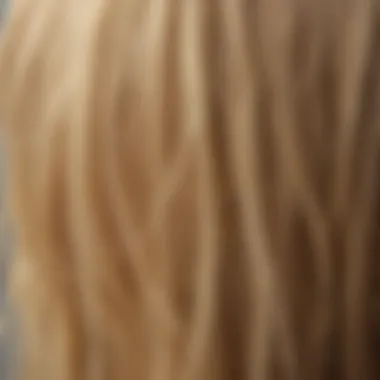 Exquisite Blonde Hair Color Swatches for Selection Hair color swatches for blonde shades