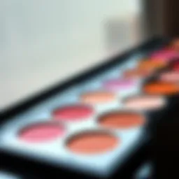 Palette of blush colors showcasing various shades