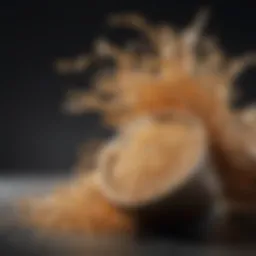 Luxurious Hair Care Ingredients