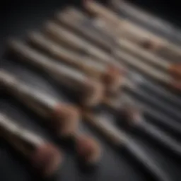 Luxurious Eyeshadow Brush Set