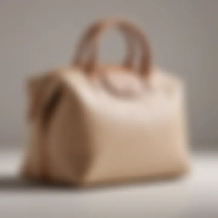 Luxurious Longchamp Le Pliage Makeup Bag in Beige