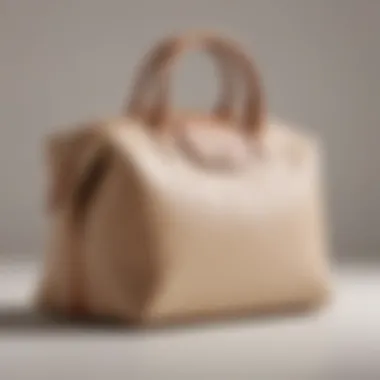 Timeless Beige Beauty Accessory Luxurious Longchamp Le Pliage Makeup Bag in Beige