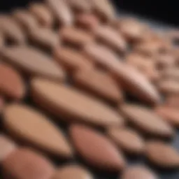 Different types of makeup wedges arranged aesthetically