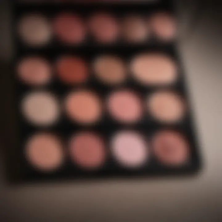 Blusher shades palette with elegance