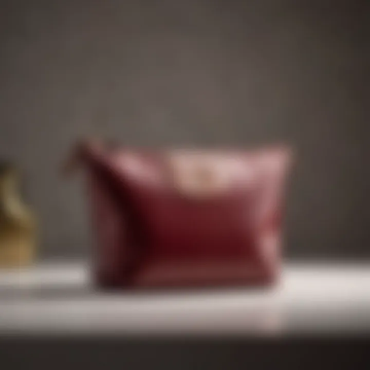 Luxurious Longchamp Le Pliage Pouch in Opulent Bordeaux