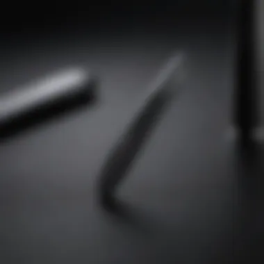 Precision Slant Tweezers in Sleek Black