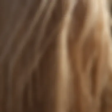 Understanding the Structure of Fine Hair Diagram showing the structure of fine hair