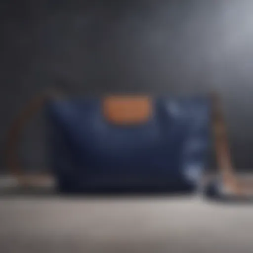 Exquisite Longchamp Le Pliage Pouch in Regal Navy