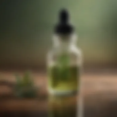 Tea tree essential oil in a glass dropper bottle close-up