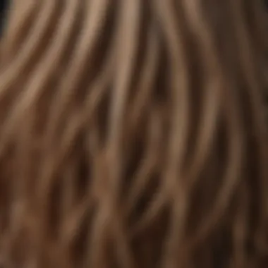 Hair strands under the microscope