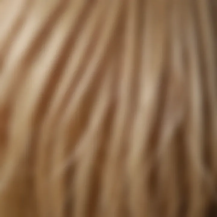 Close-up of hair strands before dye application