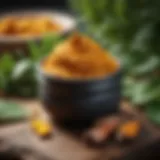 Turmeric paste in a botanical setting