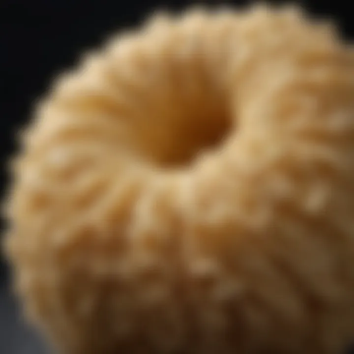 Close-up of a small loofah showcasing its natural texture and fibers.