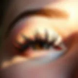 Natural-looking false eyelashes in a close-up view