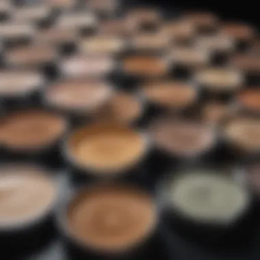Diverse Loose Powder Swatches Swatches of various loose powders on skin tones
